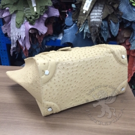 Celine Luggage Mini 30cm Ostrich