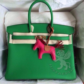 Hermes Birkin Togo 30cm Bamboo(1K)