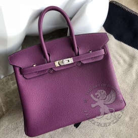 Hermes Birkin Togo 25cm Anemone P9
