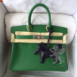 Hermes Birkin Epsom 30cm Candy Colors