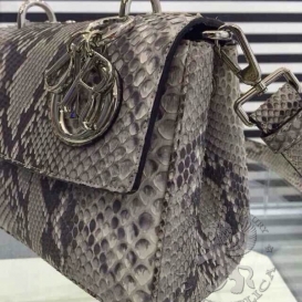 Be Dior Mini 21cm Python