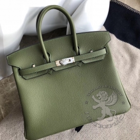 Hermes Birkin Togo 25cm Canopee V6