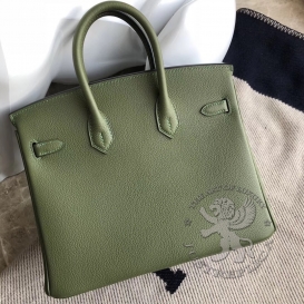 Hermes Birkin Togo 25cm Canopee V6