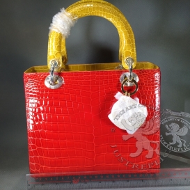 Lady Dior 23cm Crocodile Tri-color