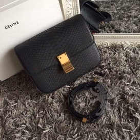 Celine Box Python Black