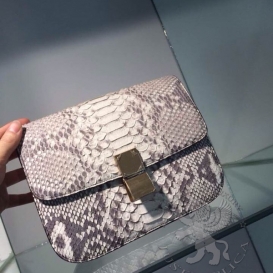 Celine Box Python Natural
