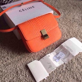 Celine Box Python Orange
