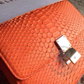 Celine Box Python Orange