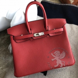 Hermes Birkin Togo 25cm Rouge Vif 53