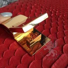 Celine Box Python Red