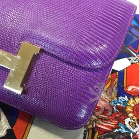 Hermes Constance Lizard 23cm Anemone