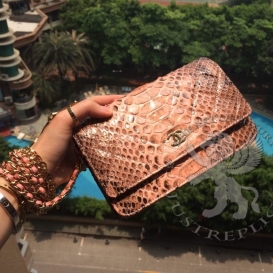 Chanel WOC 19cm Python