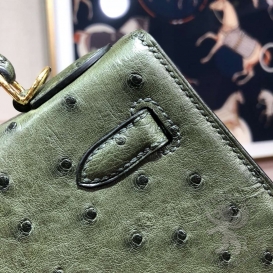 Hermes Kelly Ostrich 25cm Vert Bengale 6L PHS