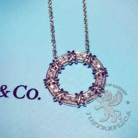 Tiffany Necklace Tiffany&Co. Schlumberger Sixteen Stone Circle Pendant 16D