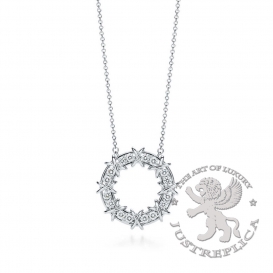 Tiffany Necklace Tiffany&Co. Schlumberger Sixteen Stone Circle Pendant 16D