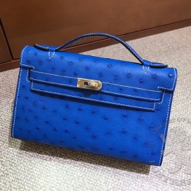 Hermes Kelly Pochette Ostrich leather MISC