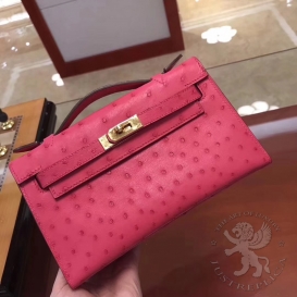 Hermes Kelly Pochette Ostrich leather MISC