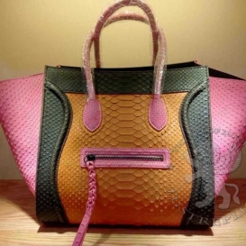Celine Phantom Python
