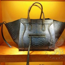 Celine Phantom Python